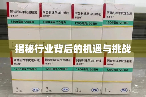 常州揭秘行业背后的机遇与挑战