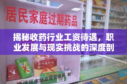 常州揭秘收药行业工资待遇，职业发展与现实挑战的深度剖析