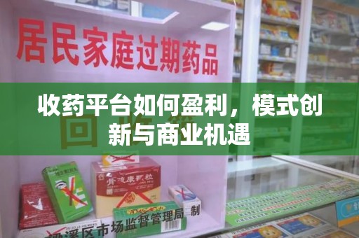 常州收药平台如何盈利，模式创新与商业机遇